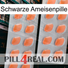 Black Ant Pill 27
